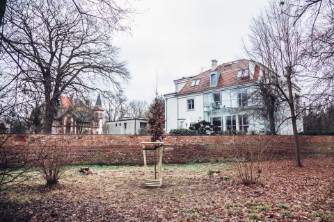 Wieszcz wstydzić się nie musi. Ulica Mickiewicza [FOTOSPACER] - 3