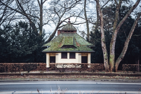 Wieszcz wstydzić się nie musi. Ulica Mickiewicza [FOTOSPACER] - 5