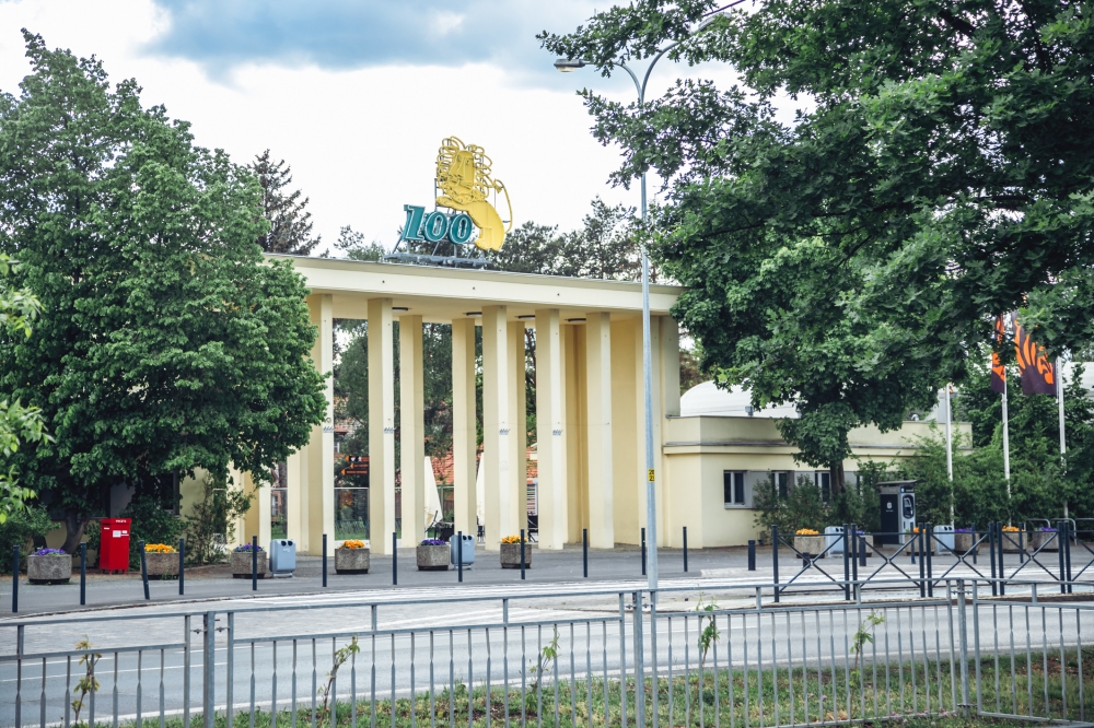 Wrocławskie zoo i Fundacja DODO przekazały 615 tysięcy złotych na ratowanie zwierząt - fot. RW