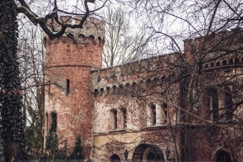 Dawny pałacyk myśliwski w Domaszczynie [FOTOSPACER] - 2