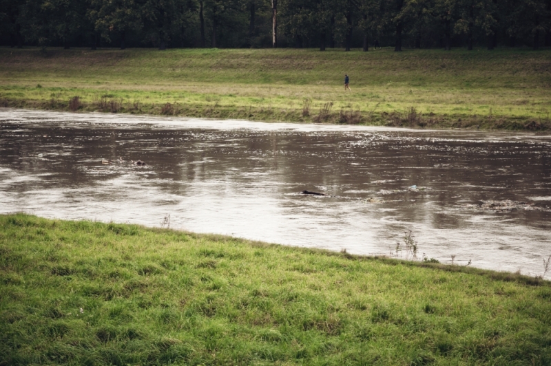 IMGW ostrzega: rzeki mogą wezbrać po opadach deszczu - fot. Patrycja Dzwonkowska