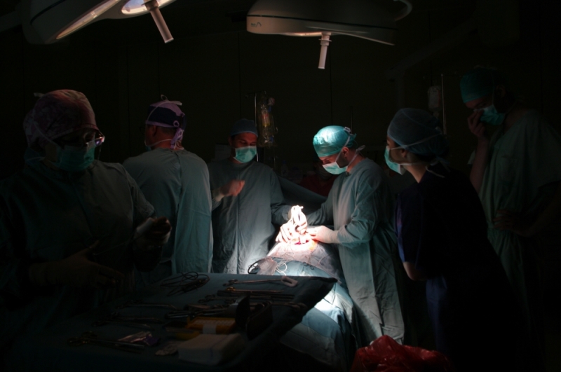 Chirurdzy ze szpitala klinicznego dostali grant na nowatorskie leczenie trzustki - fot. mat. prasowe