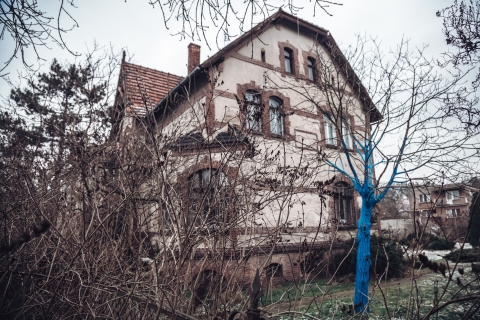 Psy nad drzwiami i głowa ze ściany. Na ul. Kochanowskiego się uśmiechniesz [FOTOSPACER] - 5