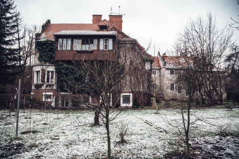 Psy nad drzwiami i głowa ze ściany. Na ul. Kochanowskiego się uśmiechniesz [FOTOSPACER] - 6