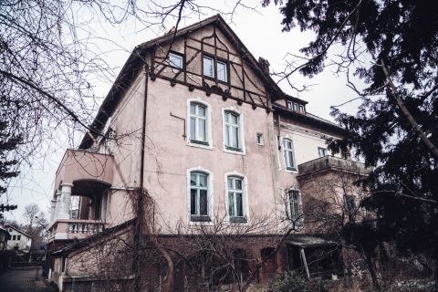 Psy nad drzwiami i głowa ze ściany. Na ul. Kochanowskiego się uśmiechniesz [FOTOSPACER] - 8