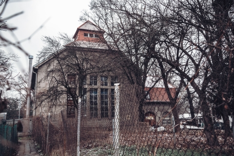 Psy nad drzwiami i głowa ze ściany. Na ul. Kochanowskiego się uśmiechniesz [FOTOSPACER] - 0