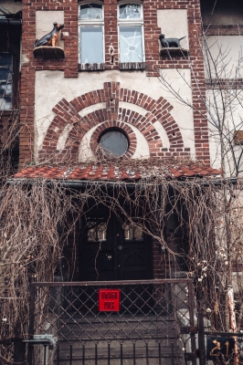 Psy nad drzwiami i głowa ze ściany. Na ul. Kochanowskiego się uśmiechniesz [FOTOSPACER] - 1