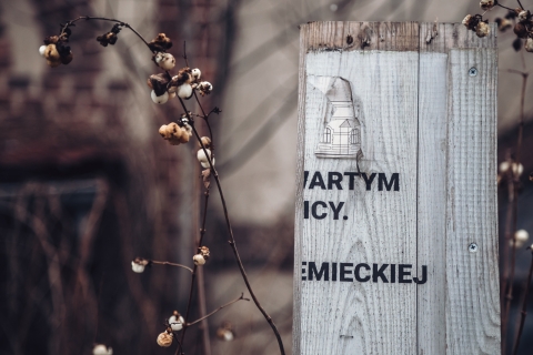 Psy nad drzwiami i głowa ze ściany. Na ul. Kochanowskiego się uśmiechniesz [FOTOSPACER] - 4