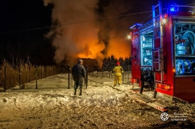 Pożar niemal zniszczył cenną pasiekę w Oleśnicy