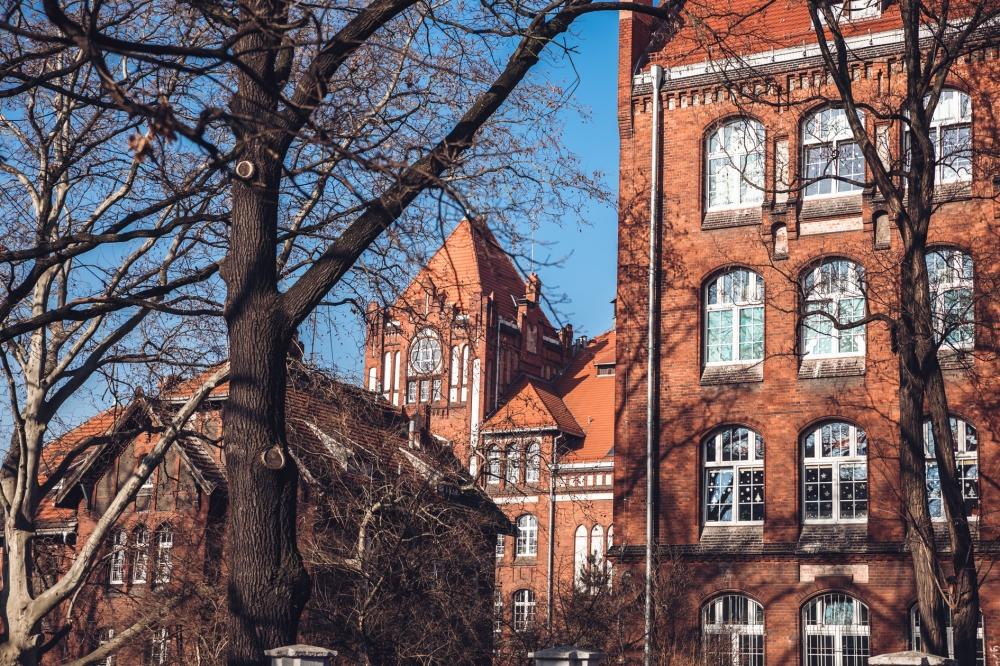 Jedynka, czyli szkoła od zawsze [FOTOSPACER]