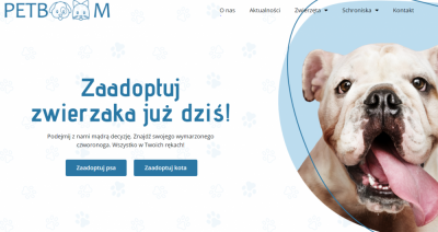 Wszystkie zwierzęta czekające na nowy dom w jednym miejscu