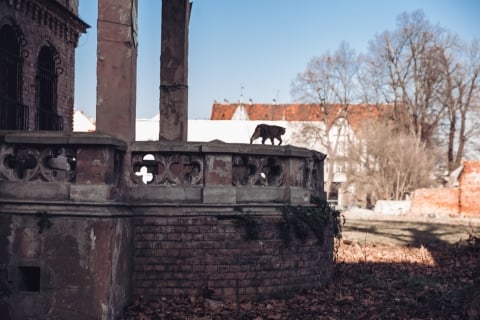 Dawny browar w Legnicy [FOTOSPACER] - 2