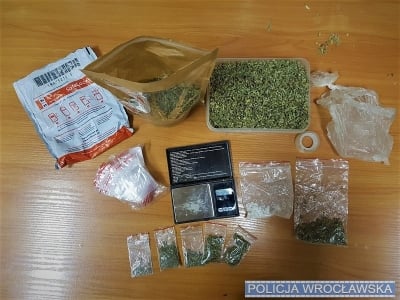 Policjanci przejęli 59 krzewów konopi i 2,3 tys. porcji narkotyków - 2