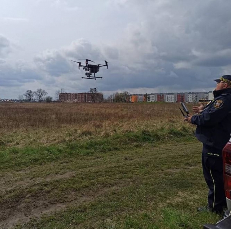 Safari z dronem nad zielonymi terenami we Wrocławiu - fot. Straż Miejska