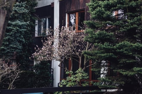 Zrozumieć architekturę PRL-u. Spacer z architektem: BARTOSZOWICE - 11