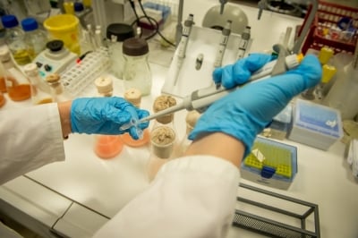 Wrocławscy naukowcy będą modyfikować komórki do innowacyjnej terapii Car-T