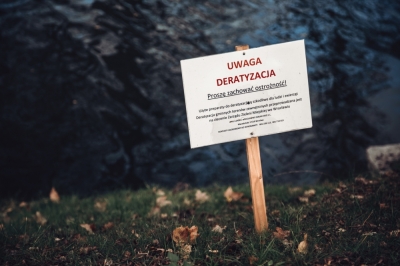 87 mandat&oacute;w za brak deratyzacji