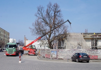 Na strzelińskim Rynku zmieni się organizacja ruchu