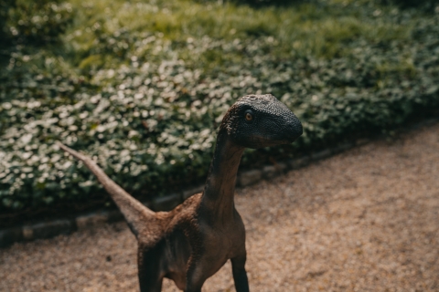 Prehistoryczne gady zamieszkały we wrocławskim ogrodzie botanicznym - 1