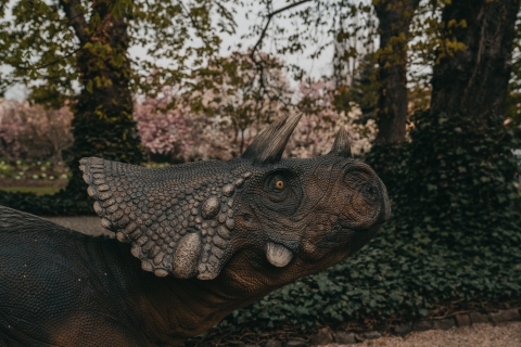 Prehistoryczne gady zamieszkały we wrocławskim ogrodzie botanicznym - 4