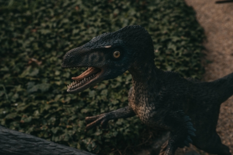Prehistoryczne gady zamieszkały we wrocławskim ogrodzie botanicznym - 3