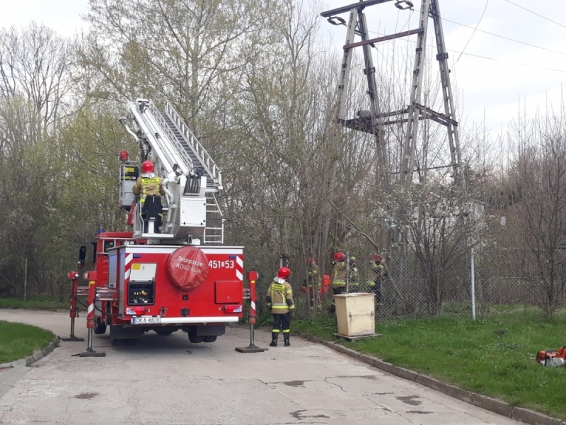 12-latek porażony prądem przeszedł już kilka operacji usunięcia martwicy - fot. Dolnośląska Policja