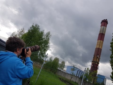 Wałbrzych: Zaobrączkowano cztery podloty sokoła wędrownego - 14