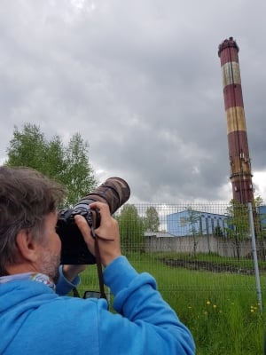 Wałbrzych: Zaobrączkowano cztery podloty sokoła wędrownego - 15