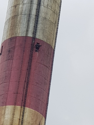 Wałbrzych: Zaobrączkowano cztery podloty sokoła wędrownego - 16