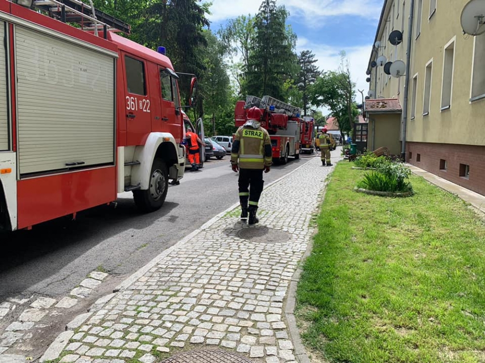 Tragiczne pożary w Oławie i Legnicy. Zginęły 2 osoby - fot. Komenda Miejska Państwowej Straży Pożarnej w Legnicy 