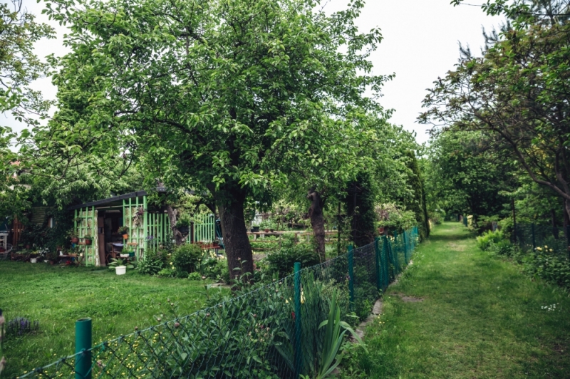Będzie mniej działek we Wrocławiu  - fot. Patrycja Dzwonkowska