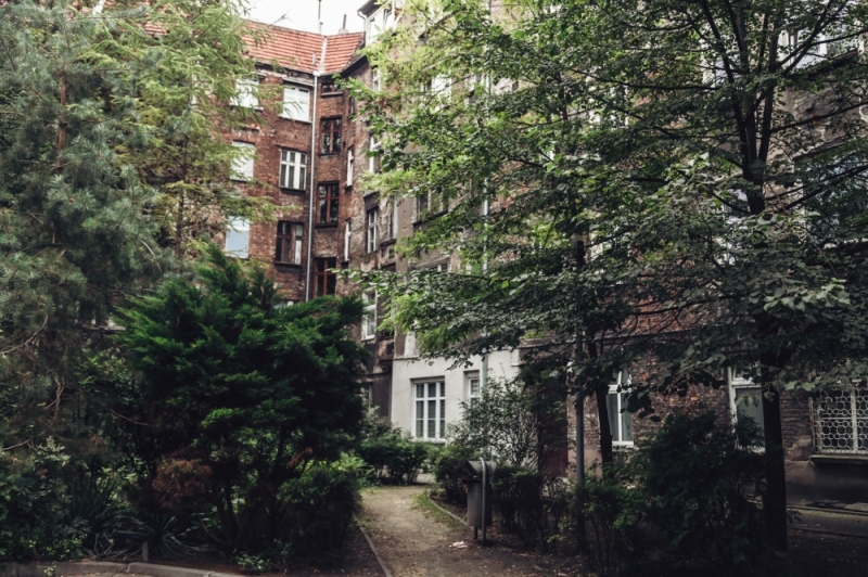 Chcą uruchomić słoneczną energię na wrocławskim Ołbinie  - fot. Patrycja Dzwonkowska