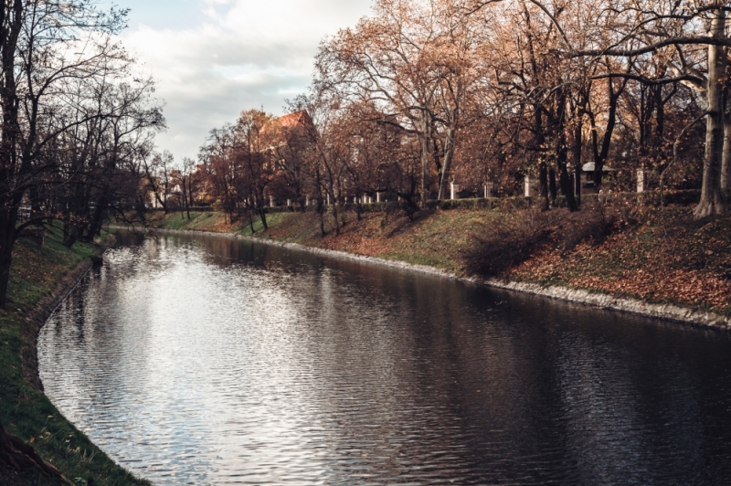 Fragment fosy miejskiej we Wrocławiu do remontu - Fot. Patrycja Dzwonkowska