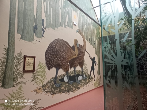 Po remoncie znów działa ptaszarnia we wrocławskim ZOO - 2