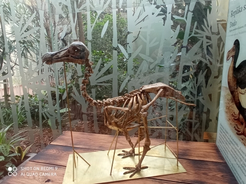 Po remoncie znów działa ptaszarnia we wrocławskim ZOO - 3