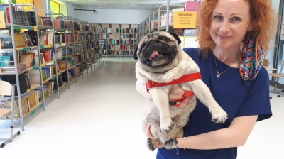 Czworonożny uczeń w podstawówce. Drops odwiedza bibliotekę w ramach projektu "Pies w szkole"
