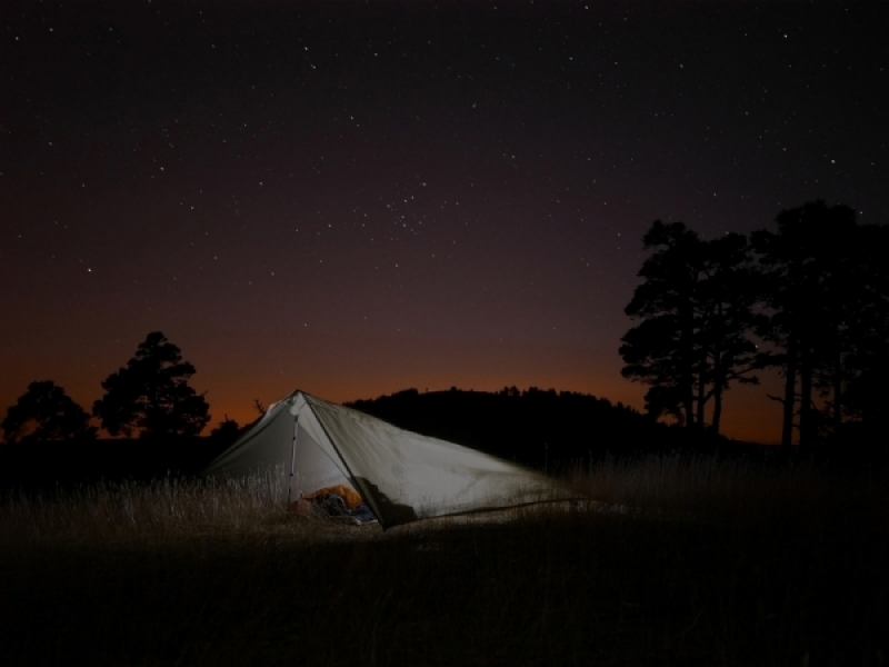 Nocować w lesie można bez pozwolenia, ale tłumów nie ma - fot. pixabay (zdjęcie ilustracyjne)