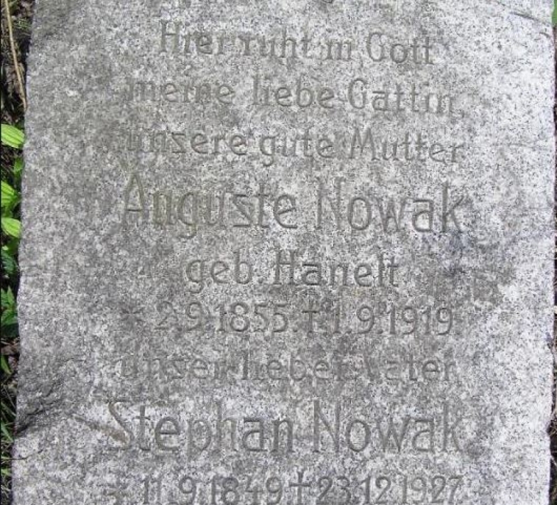 Porzucone w zaroślach i na polanach. Aktywiści chcą utworzyć ich specjalną mapę  - fot. historia.org