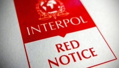 Straż graniczna zatrzymała oszusta poszukiwanego notą Interpolu