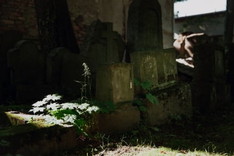 Dawny ewangelicki kościół w Miłkowie [FOTOSPACER] - 5