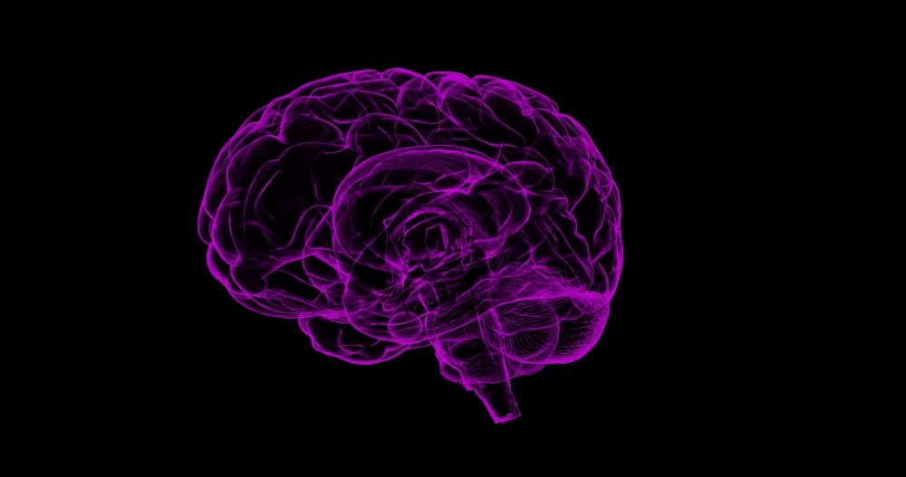 Naukowcy chcą pomóc osobom z zaburzeniami pamięci - fot. pixabay (zdjęcie ilustracyjne)