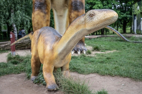 Jak umyć dinozaura? W Lubinie to nie problem - 0