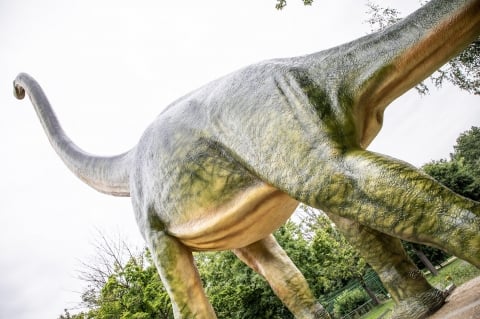 Jak umyć dinozaura? W Lubinie to nie problem - 1