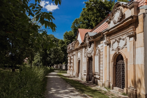 Dawny cmentarz ewangelicki w Jeleniej Górze [FOTOSPACER] - 14