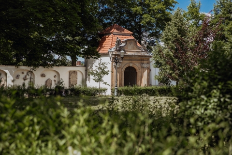 Dawny cmentarz ewangelicki w Jeleniej Górze [FOTOSPACER] - 8