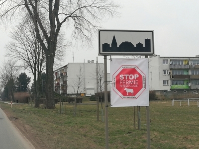 Władze Kąt&oacute;w Wrocławskich do końca roku podejmą decyzję w sprawie fermy kr&oacute;w