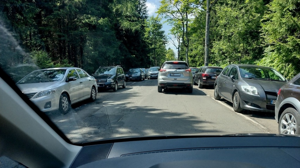 Drogowy chaos w okolicy Parku Narodowego Gór Stołowych. Kierowcy parkują, gdzie popadnie - fot. PNGS