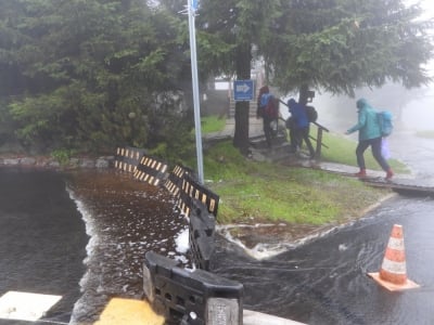 Woda zalewa schronisko na Okraju. Wszystko przez remont drogi