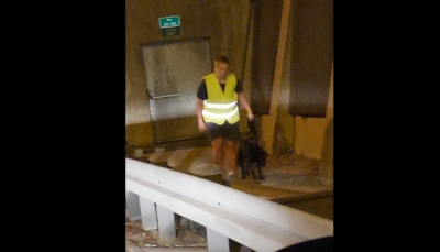 Błąkający się pies przy AOW. Interweniował jeden z kierowc&oacute;w