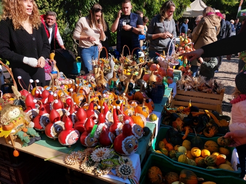 Dziś Święto Dyni w Ogrodzie Botanicznym - 4
